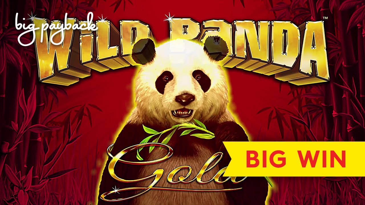 BIG WIN, MAX BET! Wild Panda Gold Slot - GREAT SESSION! - YouTube
