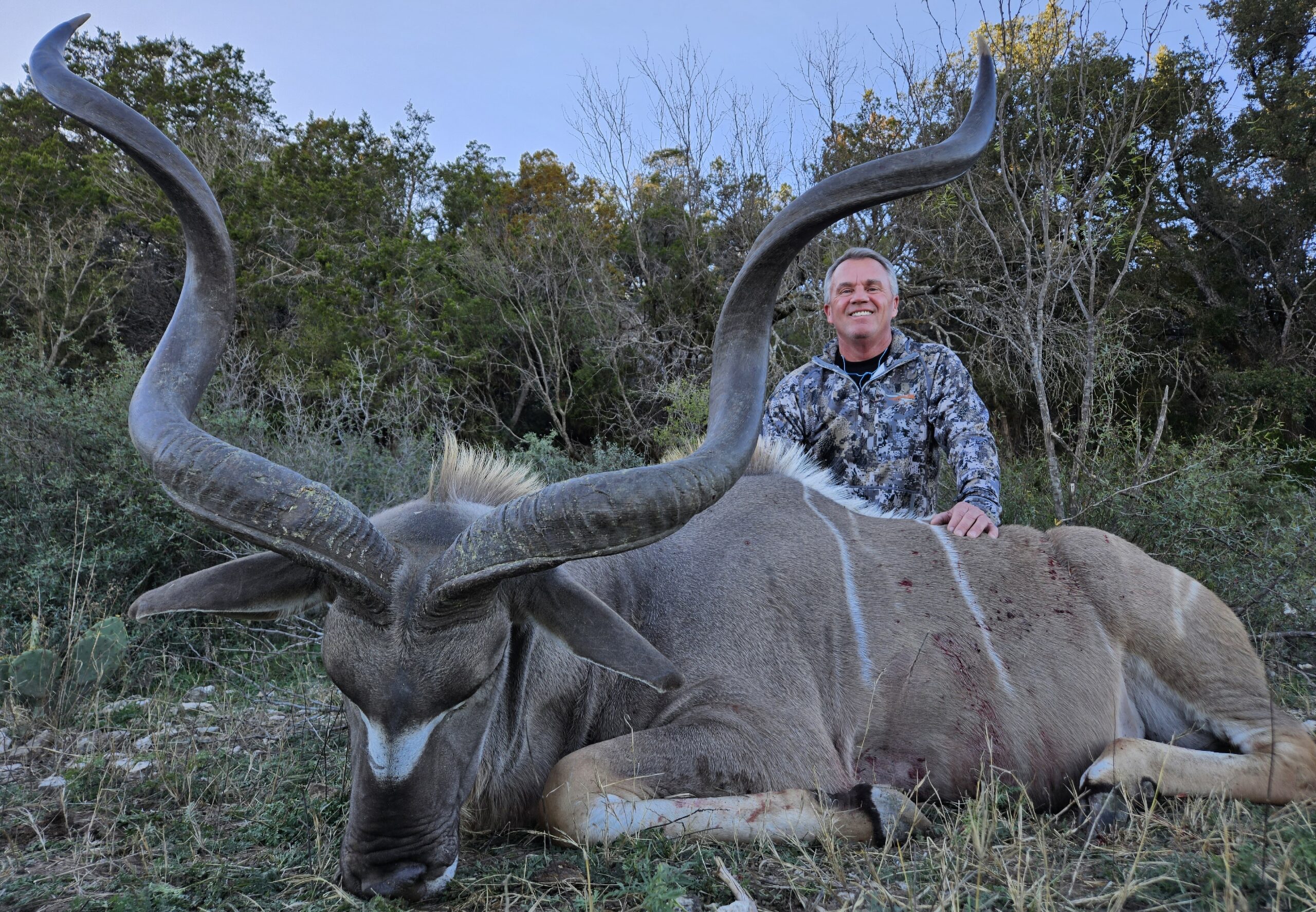 Kudu Bull Hunting in Texas | Texas Hill Country Exotic Hunts