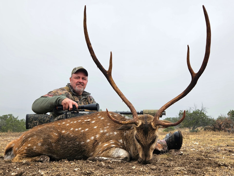 Axis Deer Hunts in Texas
