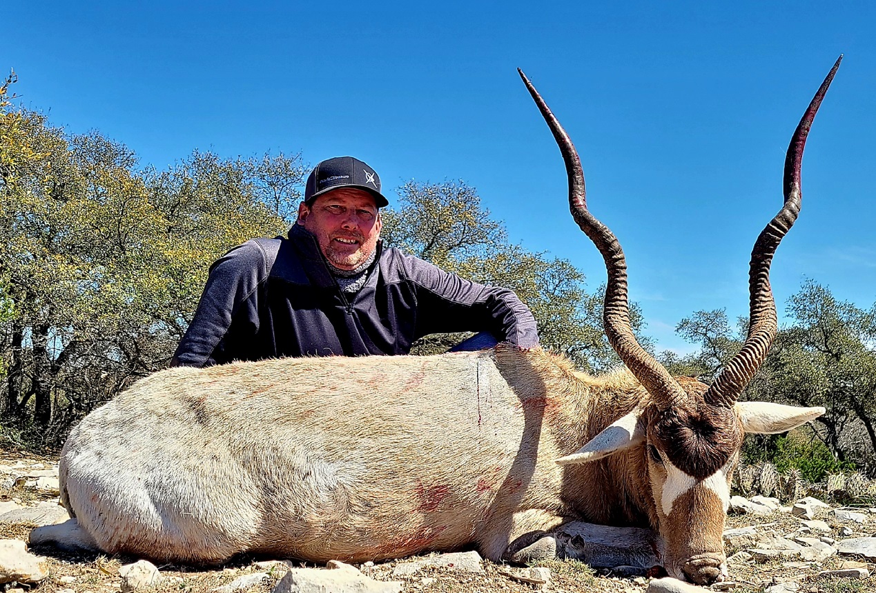Addax Hunting in Texas | Exotic Hunts Near Junction